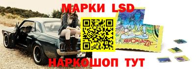 тгк Канаш