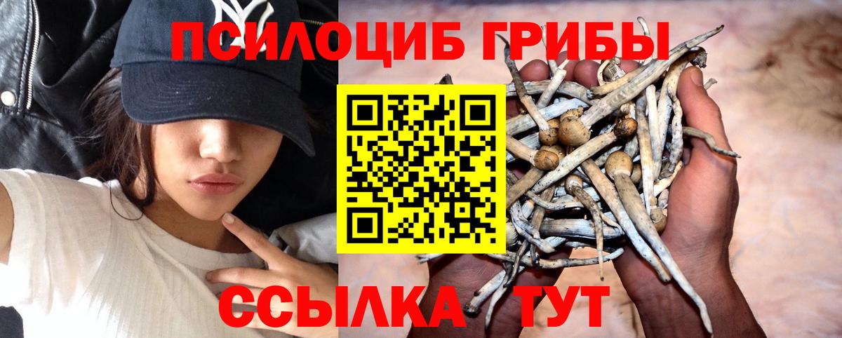 Галлюциногенные грибы Psilocybine cubensis  Вход с VPN  Лангепас 